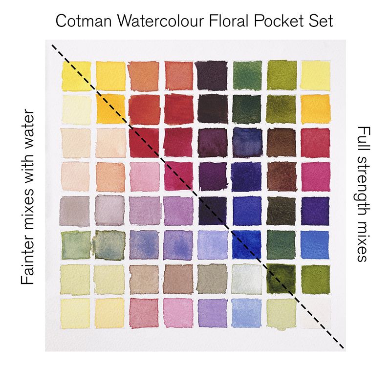 WN Cotman Floral Pocket Set 8 x 1/2 nappia WN Cotman Floral Pocket Set 8 x 1/2 nappia - Image 4
